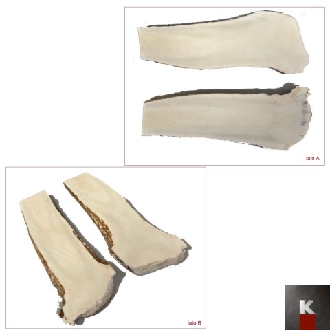 placc corno alce p u n 18 K